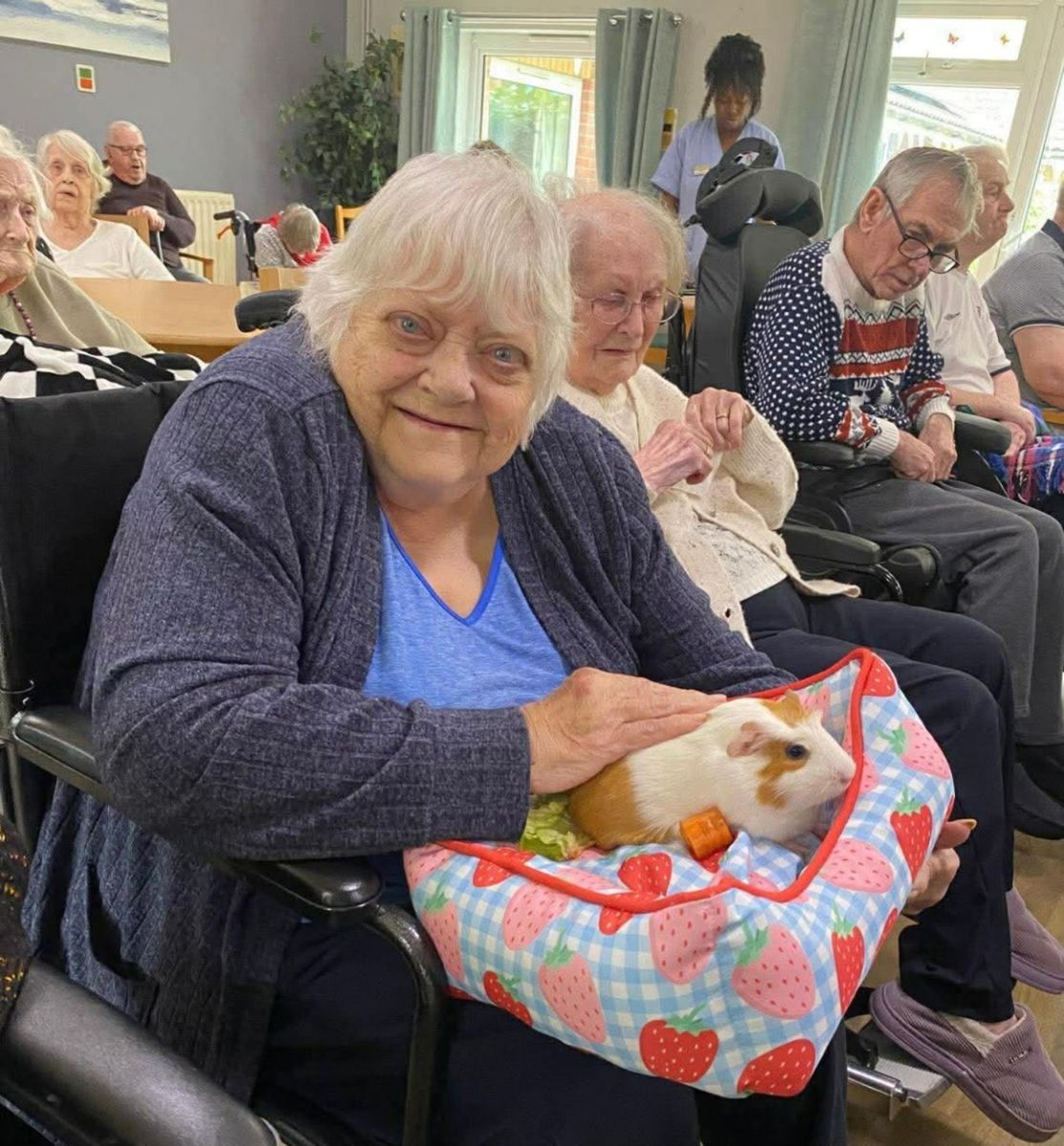 Care home resident enjoying guinea pig therapy and gentle animal interaction in Hull