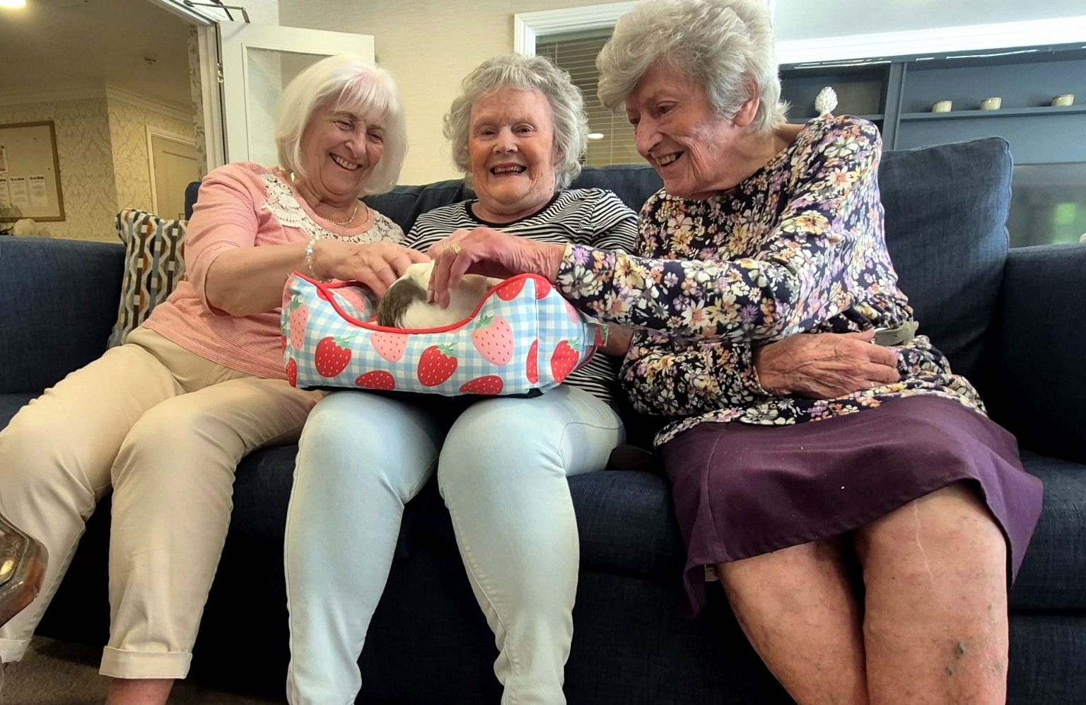 Care home residents enjoying an animal therapy visit